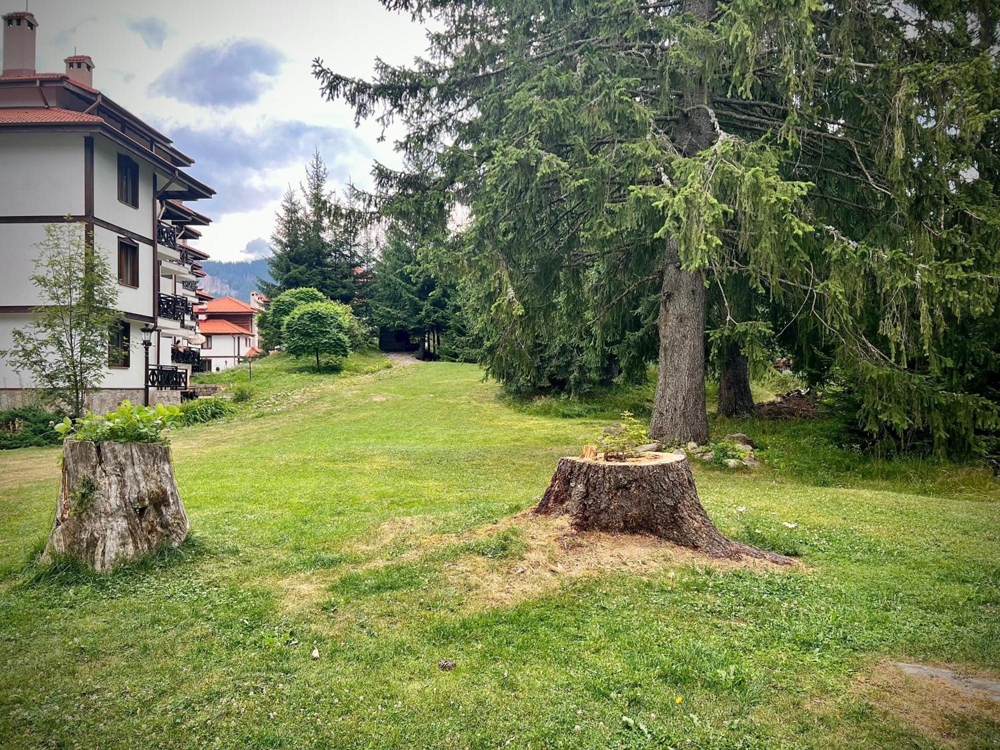 Relax Aпартаменти, Смолянски Езера, Вила Венера, К-С Маунтин Лейк Bagian luar foto