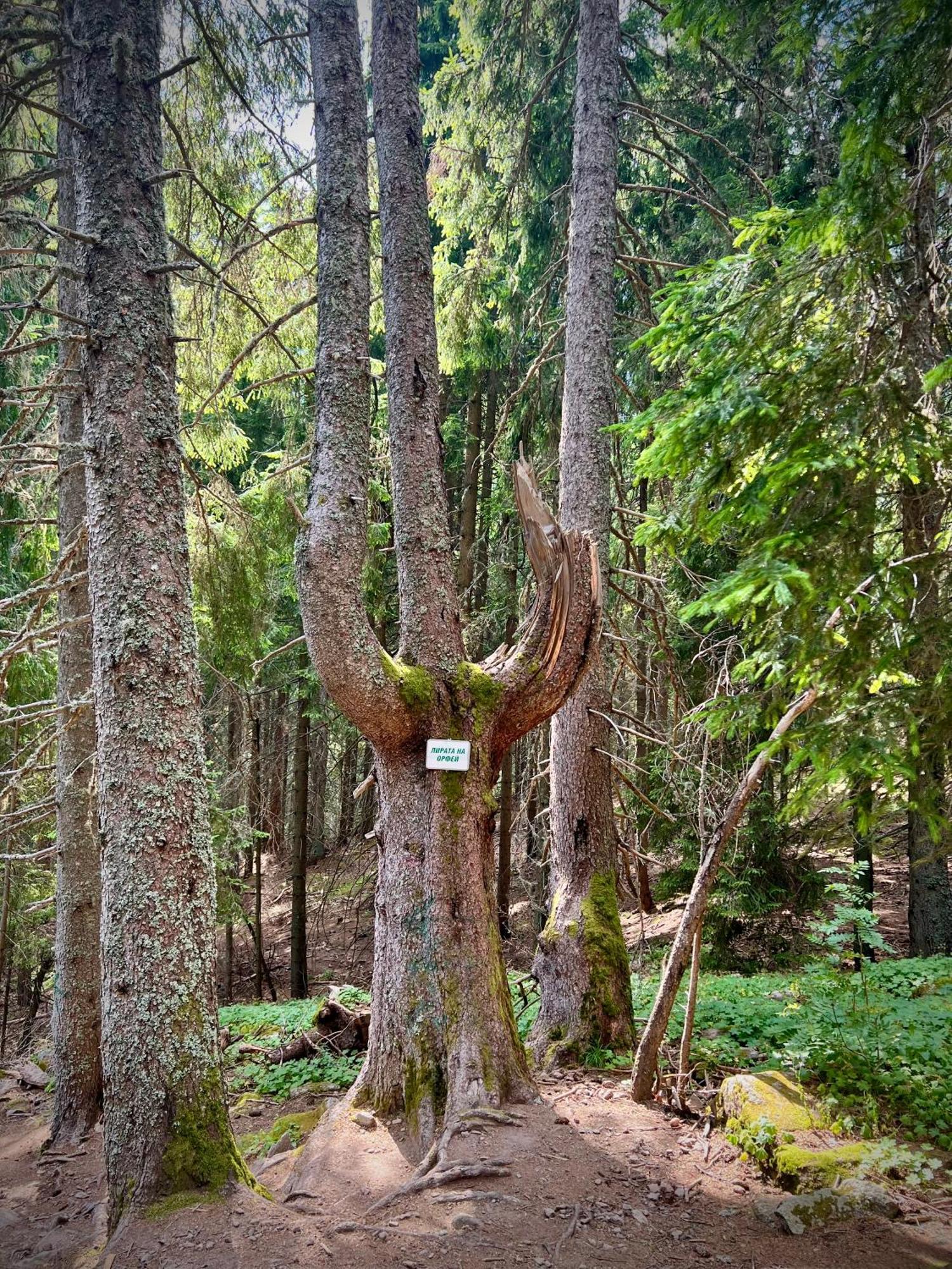 Relax Aпартаменти, Смолянски Езера, Вила Венера, К-С Маунтин Лейк Bagian luar foto