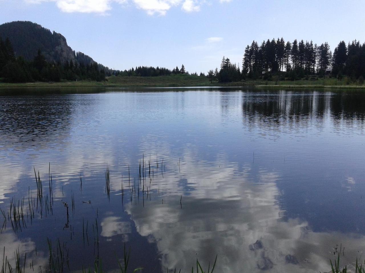 Relax Aпартаменти, Смолянски Езера, Вила Венера, К-С Маунтин Лейк Bagian luar foto